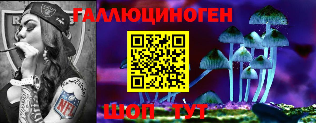 Галлюциногенные грибы GOLDEN TEACHER Ленинск-Кузнецкий